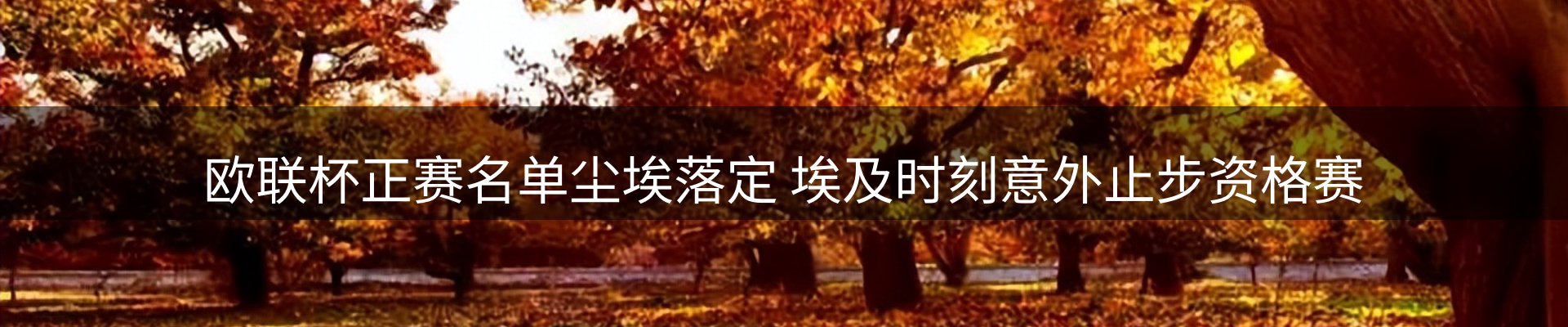 焦点亮点